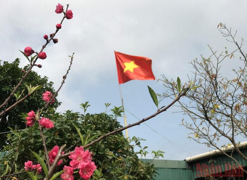 Anh tôi là người làm vườn mang màu xanh cho vườn mẹ. Vườn xuân còn mẹ -0