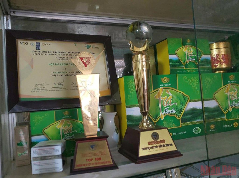 Thương hiệu “Chè Sông Cầu” và Hợp tác xã Thịnh An đã được nhiều nơi vinh danh. Bài 3: Hồi sinh một vùng chè huyền thoại -0