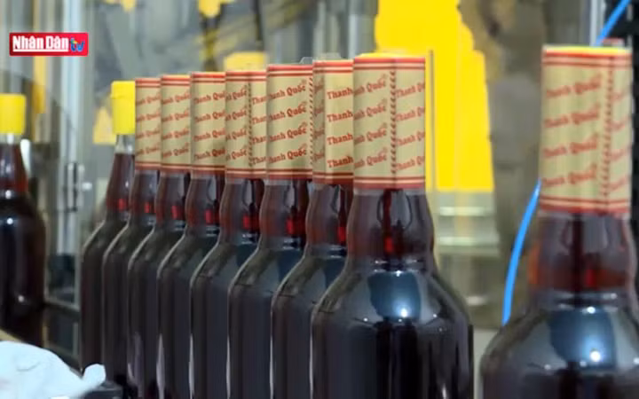 Độc đáo nghề làm nước mắm Phú Quốc