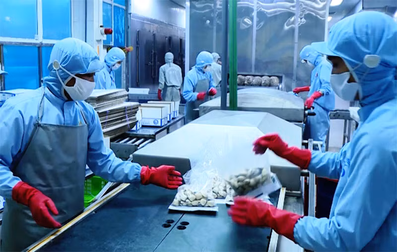 Thanh Hóa tăng trưởng khá trong bối cảnh ảnh hưởng đại dịch Covid-19 -0
