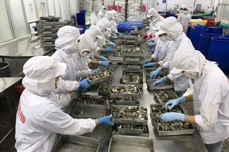 Doanh nghiệp thủy sản đang phải đối mặt 4 áp lực cùng lúc. Bàn giải pháp tháo gỡ khó cho ngành thủy sản -0