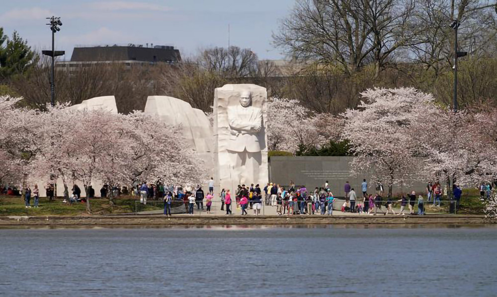Du khách tham quan Đài tưởng niệm Martin Luther King Jr. đặt bên hồ Tidal Basin. hoa anh đào -0