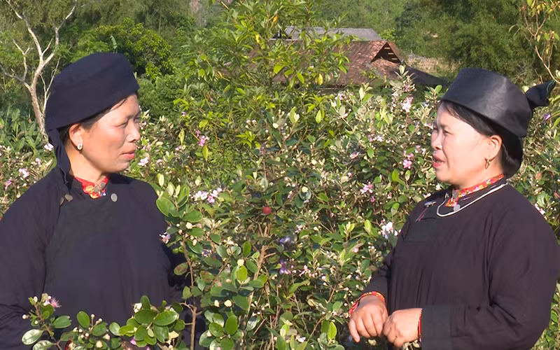 Một buổi hát Sli của đồng bào dân tộc Nùng, xã Xuân Dương, huyện Na Rì (Bắc Kạn).