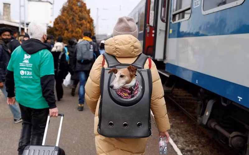 Người Ukraine mang theo thú cưng lên tàu đi sơ tán ở Zahony, Hungary, ngày 3/3/2022. (Ảnh: REUTERS)