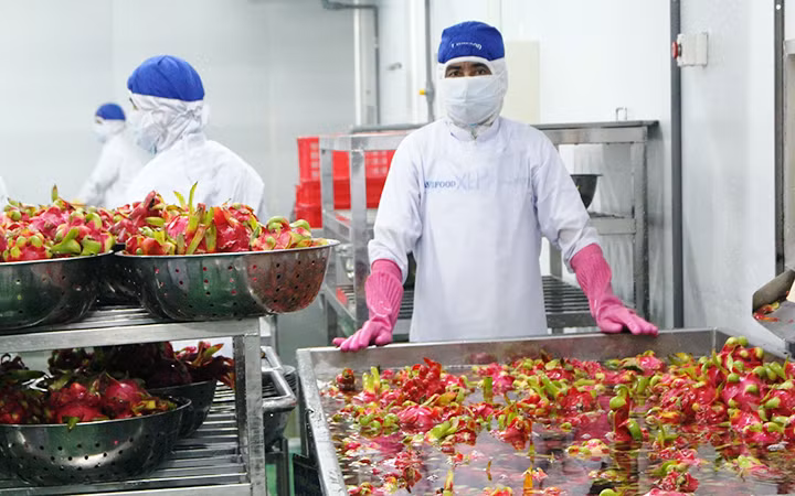 Chủ động phương án tiêu thụ trái cây khu vực Nam Bộ -0