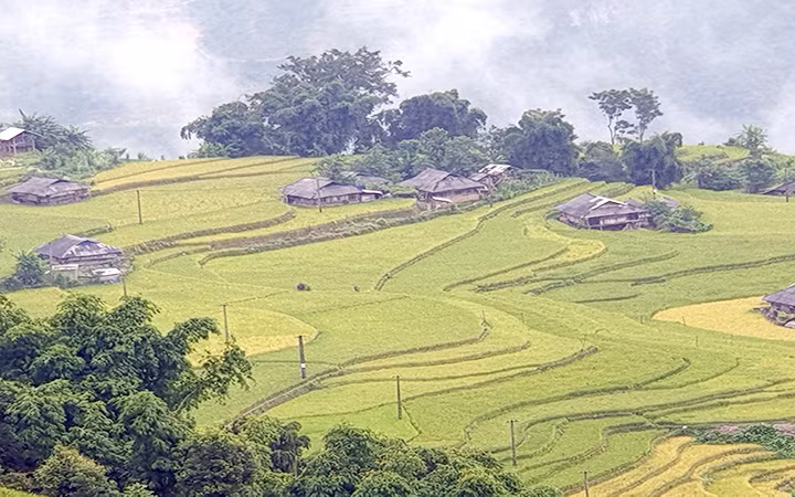 Bản Phùng, huyện Hoàng Su Phì (Hà Giang) là địa chỉ hấp dẫn du khách.