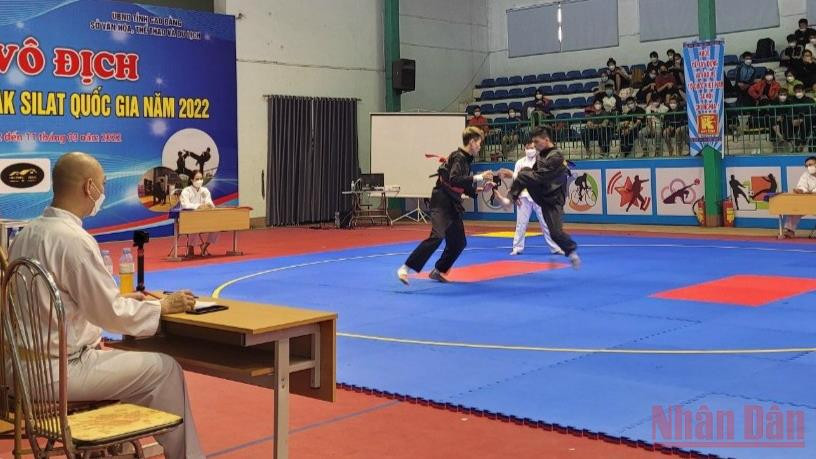 Các vận động viên thi đấu nội dung đối kháng.