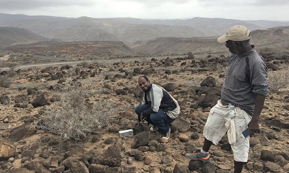 Đặt bẫy tìm kiếm chuột chù voi Somali trong chuyến thám hiểm năm 2019. Ảnh: Steven Heritage, Đại học Duke. Tìm thấy loài chuột chù voi sau 50 năm mất tích -0