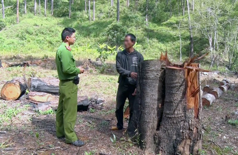 Đưa đối tượng được xác định phá rừng vào hiện trường để xác minh vụ việc. Phó Thủ tướng Trương Hòa Bình chỉ đạo xử lý nghiêm vụ phá rừng phòng hộ tại Lâm Đồng -0