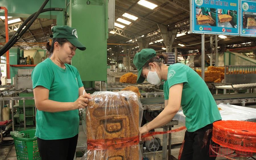 Sản xuất cao su xuất khẩu tại Công ty TNHH MTV cao su Dầu Tiếng. (Ảnh: ANH TUẤN)