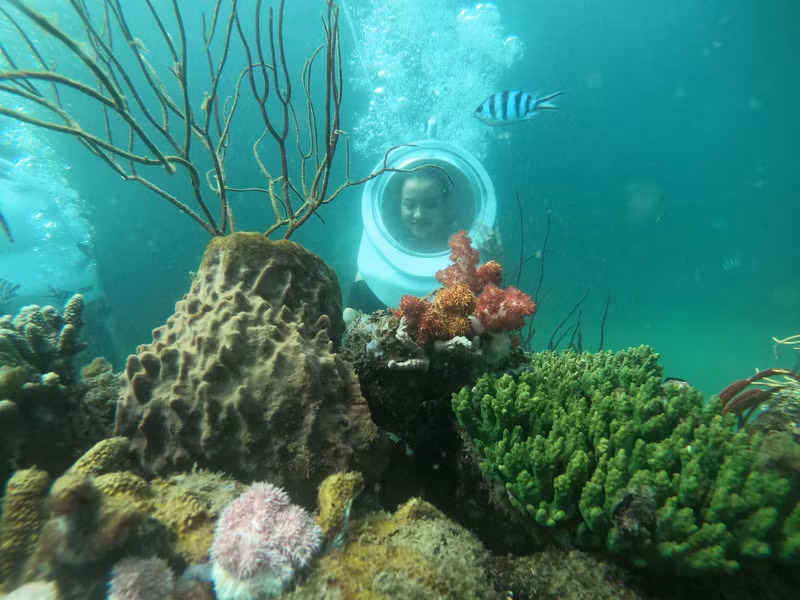 Hòn Thơm - Vẻ đẹp siêu thực và một thế giới “vô ưu” -0