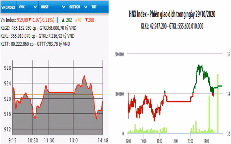 Diễn biến VN-Index và HNX-Index, phiên giao dịch ngày 29-10. 