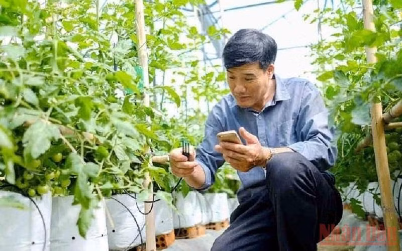 (Ảnh minh họa: MAI VĂN BẢO)