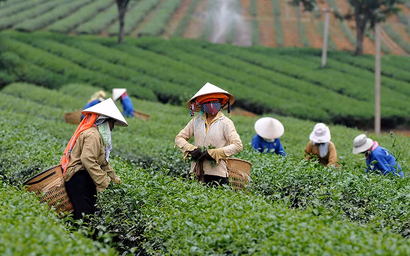 Tích hợp tâm lực của kiều bào để phát triển nông nghiệp -0