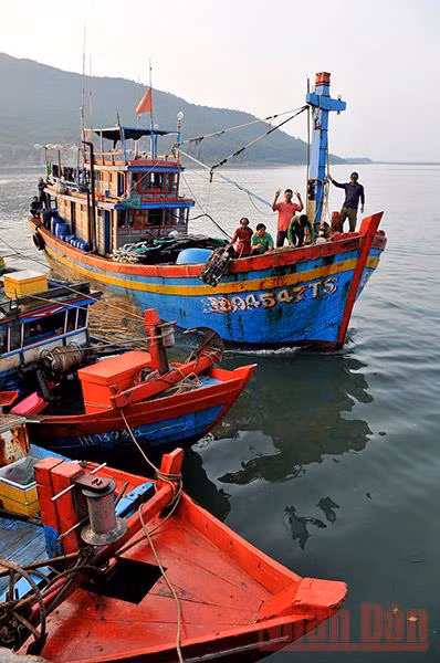 Điểm tựa vững chắc cho ngư dân vươn khơi bám biển -5
