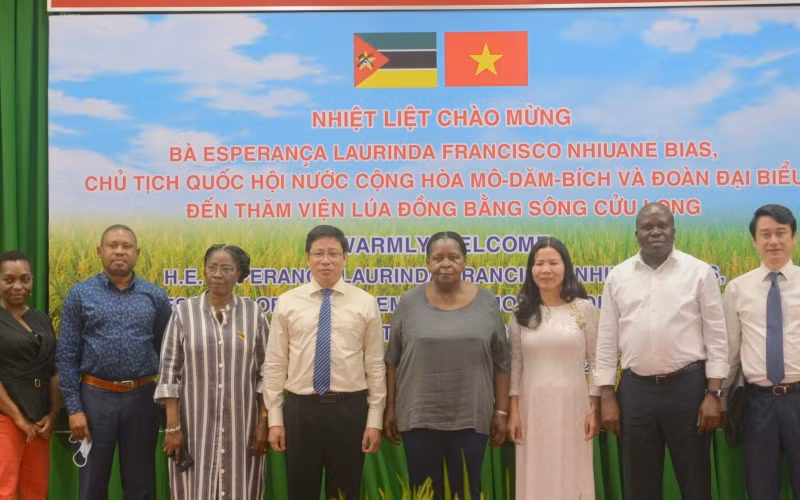 Đoàn đại biểu cấp cao Quốc hội Cộng hòa Mozambique chụp ảnh lưu niệm với lãnh đạo Viện lúa đồng bằng sông Cửu Long.