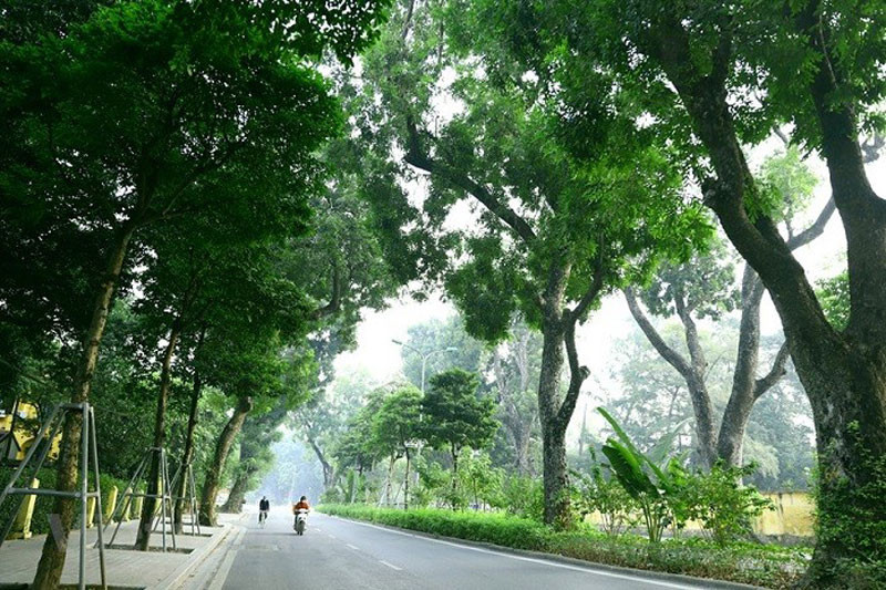Ảnh minh họa.