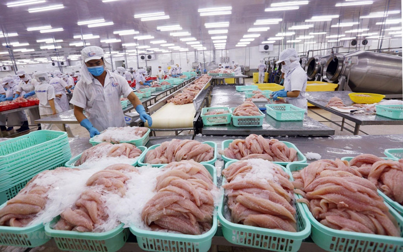 Xuất khẩu thuỷ sản đang gặp khó.