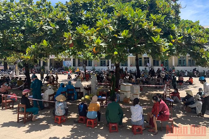 Tỉnh Quảng Ngãi chi hàng chục tỷ đồng xét nghiệm Covid-19 cho người dân vùng tâm dịch xã Phổ Châu và phường Phổ Thạnh (thị xã Đức Phổ). 