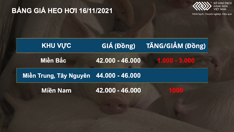 Giá heo hơi nội. Giá nguyên liệu thức ăn chăn nuôi nhập khẩu tiếp tục tăng mạnh -0