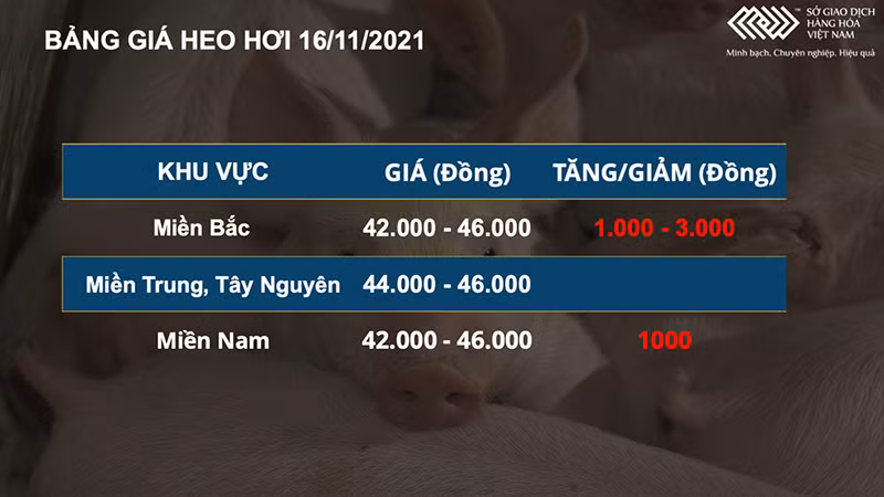 Giá nguyên liệu thức ăn chăn nuôi nhập khẩu tiếp tục tăng mạnh -0
