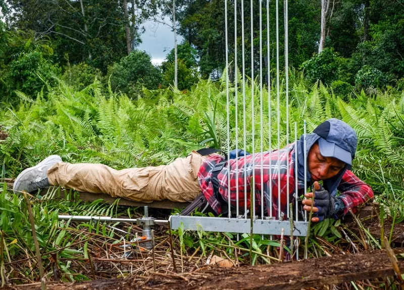 Cuộc đua 10 năm để cứu lấy Trái đất -0