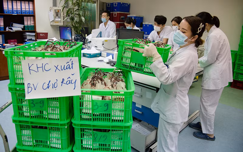 1.000 đơn vị máu mới tiếp nhận với hạn sử dụng dài (đến đầu tháng 9/2021) được cung cấp cho Bệnh viện Chợ Rẫy.