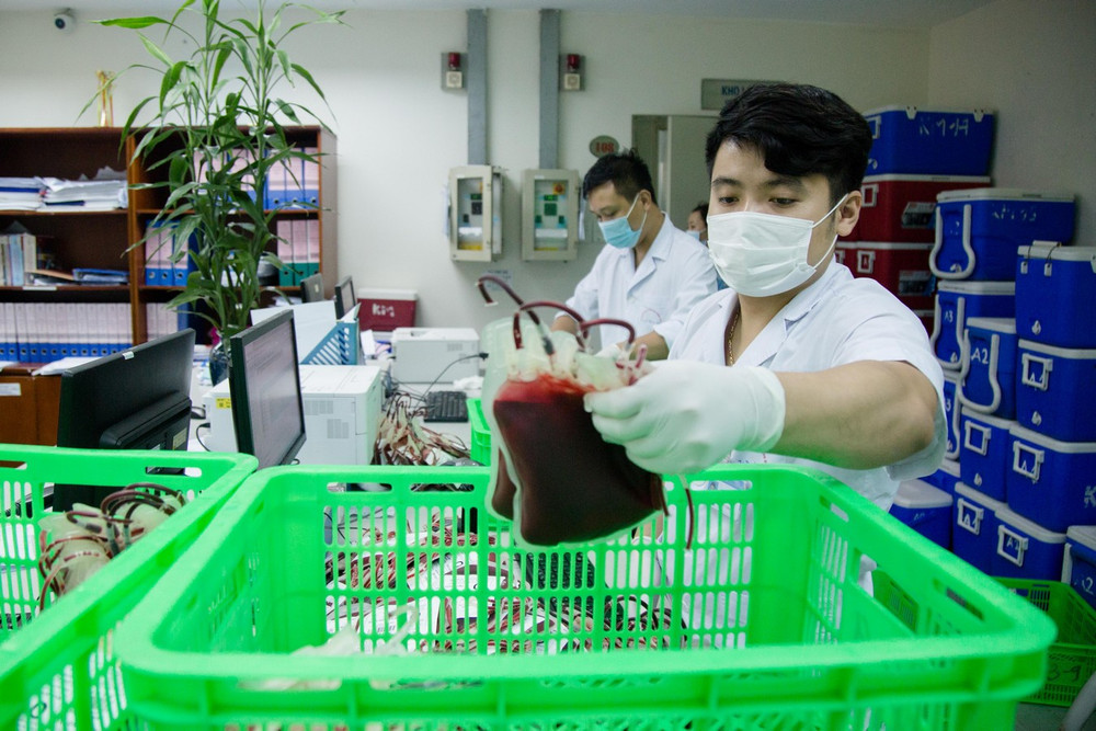 1.000 đơn vị máu từ Hà Nội chi viện cho TP Hồ Chí Minh ảnh 2 1.000 đơn vị máu từ Hà Nội chi viện cho