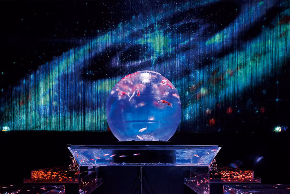 Huyền bí sắc màu Art Aquarium ở thủ đô Tokyo -0