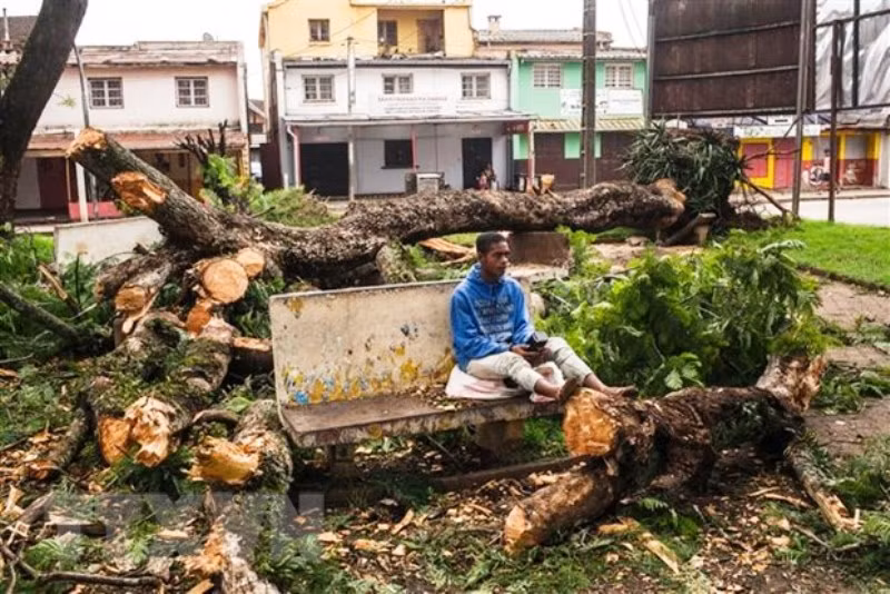 Cây cối bị gió quật đổ sau khi bão Batsirai đổ bộ vào thành phố Antsirabe, Madagascar ngày 6/2/2022. (Ảnh: AFP/TTXVN)
