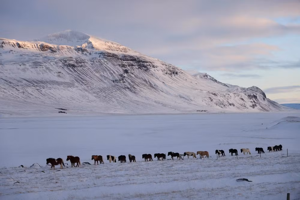 Thiên nhiên mùa đông tuyệt đẹp ở “xứ băng đảo” Iceland -0