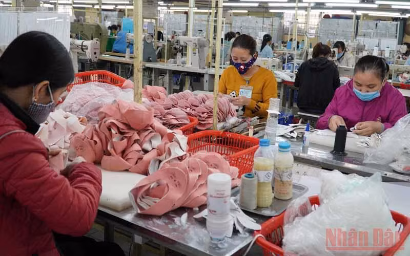 Ngành xuất khẩu tỷ USD “ngấm đòn” Covid-19 -0