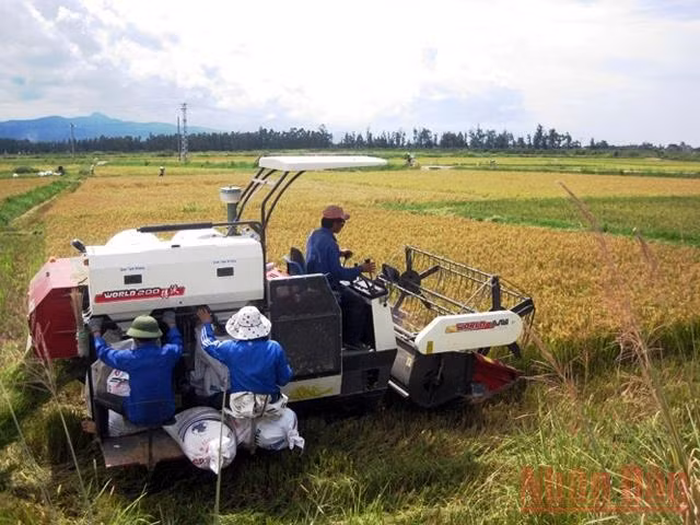 Bảo đảm an toàn lao động trong cơ giới hóa nông nghiệp