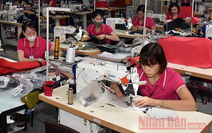 Ảnh minh họa: Duy Linh. Xây dựng đề án hỗ trợ phát triển thị trường lao động đến năm 2030 -0