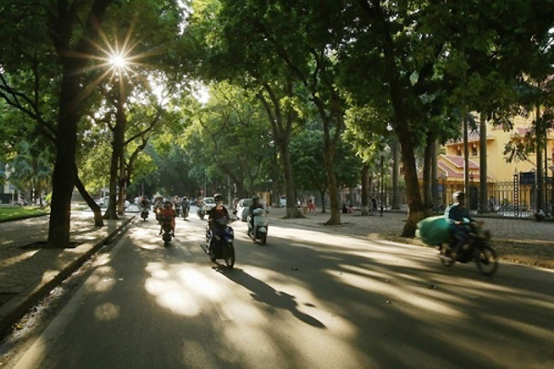 Ảnh minh họa.