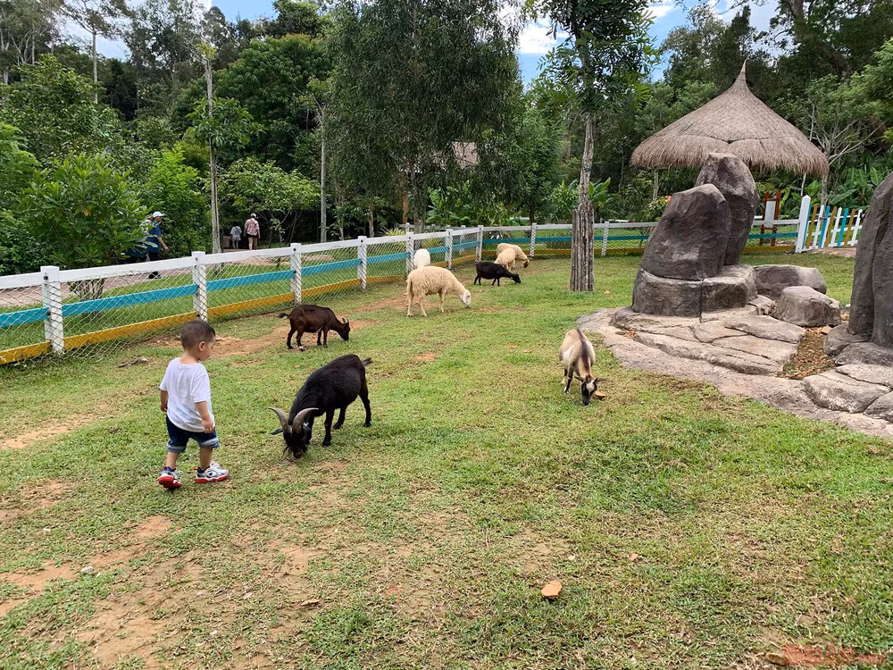 Trải nghiệm công viên động vật hoang dã Safari Phú Quốc -0