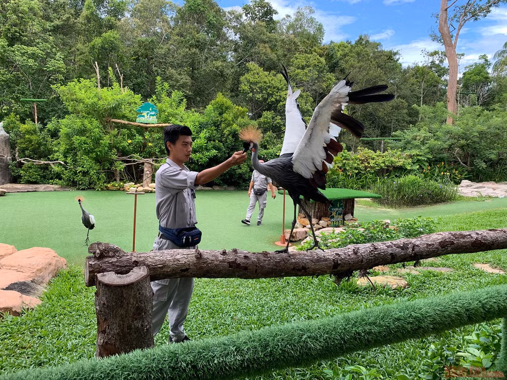 15_safari_phu_quoc-1593508291074.jpg