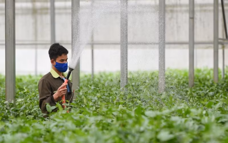 Để bảo đảm được mục tiêu phát triển bền vững, việc chuyển đổi sang mô hình tăng trưởng nông nghiệp mới trở thành một yêu cầu cấp bách và cần thiết.