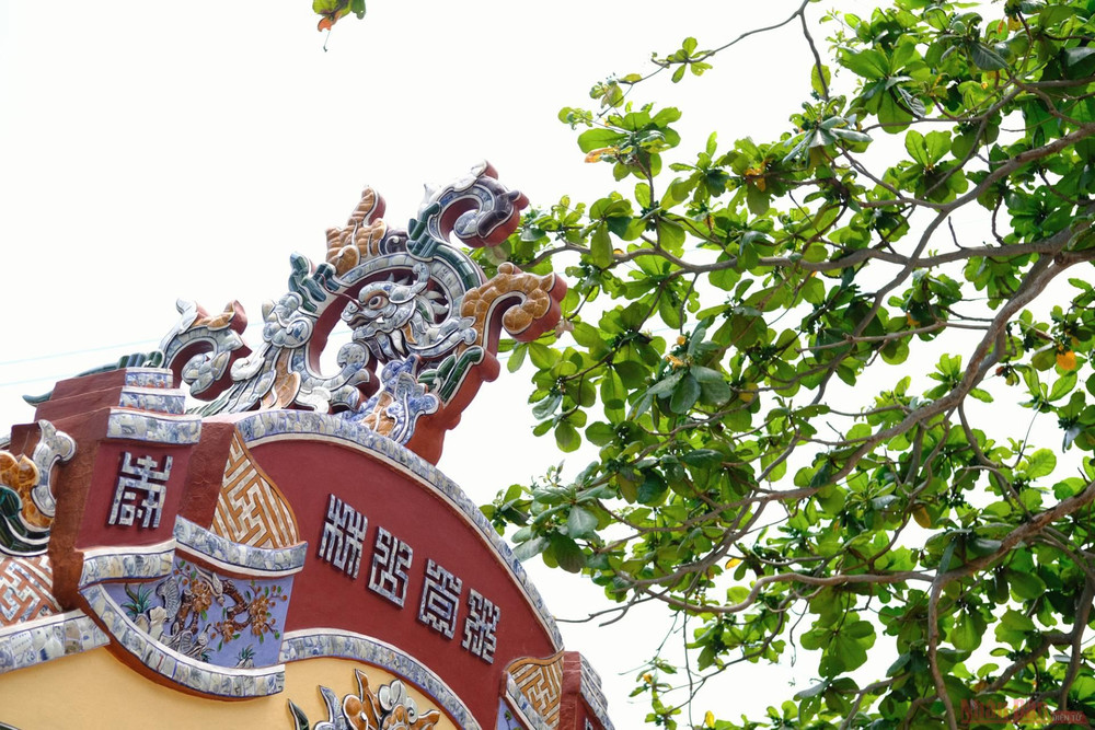 8_cau_ngoi_thanh_toan_1-1622428676571.jpeg