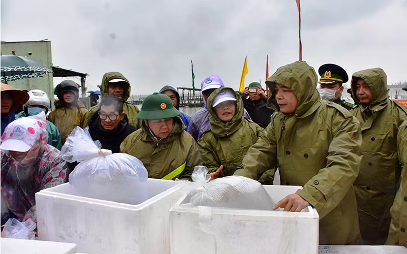 Lãnh đạo Bộ NN&PTNT, tỉnh Thừa Thiên Huế và Đoàn công tác tiến hành thả cá tái tạo nguồn lợi thủy sản. Ảnh: HN