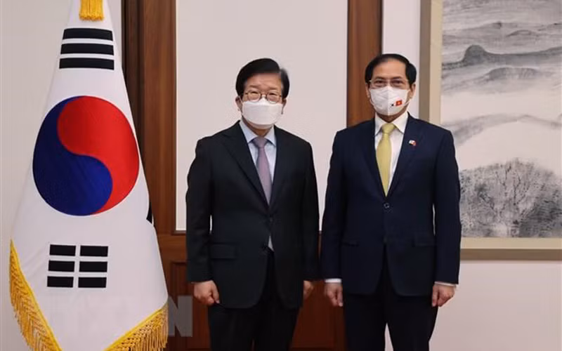 Bộ trưởng Ngoại giao Bùi Thanh Sơn và Chủ tịch Quốc hội Hàn Quốc Park Byeong-seug. (Ảnh: TTXVN)