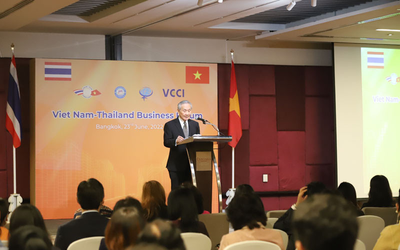 Bộ trưởng Ngoại giao Thái Lan Don Pramudwinai phát biểu tại diễn đàn. Việt Nam-Thái Lan thúc đẩy doanh nghiệp kết nối vì sự phát triển bền vững -0