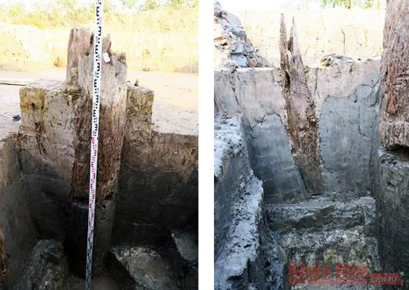 Cọc gỗ xuất lộ trong hố khai quật. Ảnh: Đinh Thanh Nga - Viện Khảo cổ học Tranh luận về những cây cọc hiện ra từ lòng đất -0