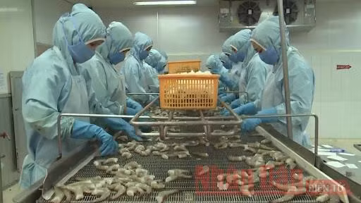 Hàng Việt tự tin trên “cao tốc” -0