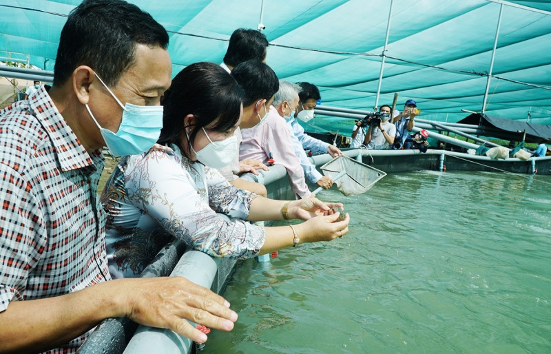 Chính quyền và ngành chức năng tích cực hỗ trợ nông dân quản lý quy trình nuôi thích nghi. Hơn 1.300ha nuôi tôm ở Sóc Trăng bị thiệt hại do thời tiết bất thường -0