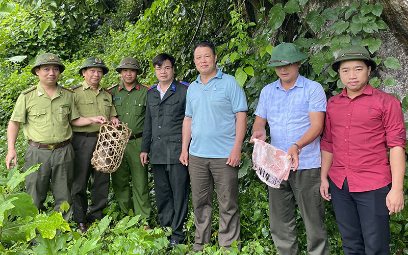 Thả động vật hoang dã vào rừng nhằm bảo tồn đa dạng sinh học của Khu dự trữ thiên nhiên.