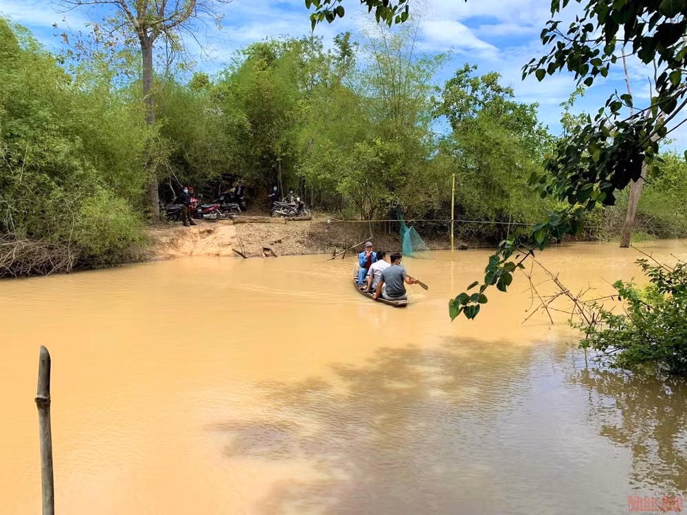 Vì sao rừng bị tàn phá gần 400ha mới được phát hiện? -0