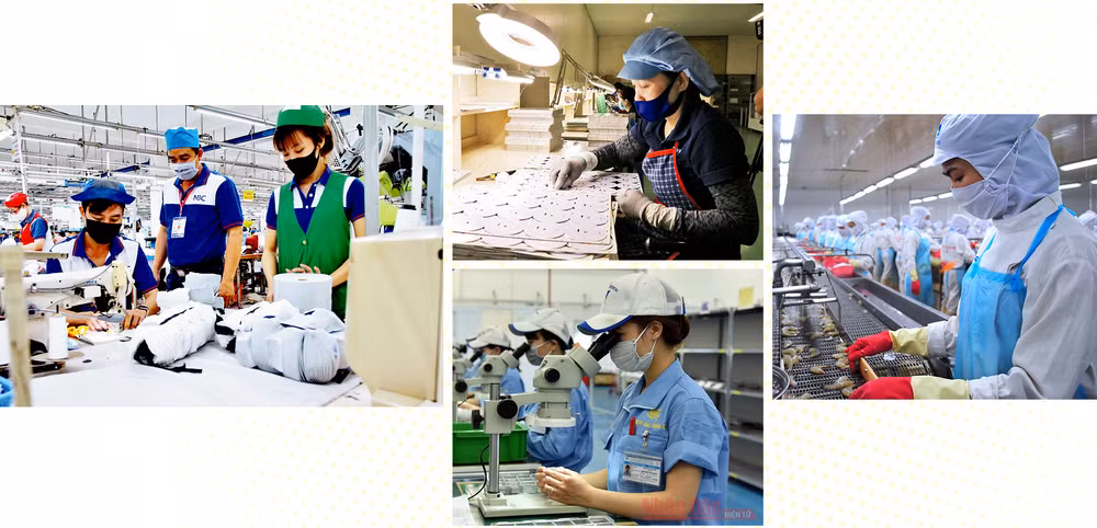 Thị trường lao động Việt Nam sau đại dịch Covid-19: Lo trước để giảm lo sau -0