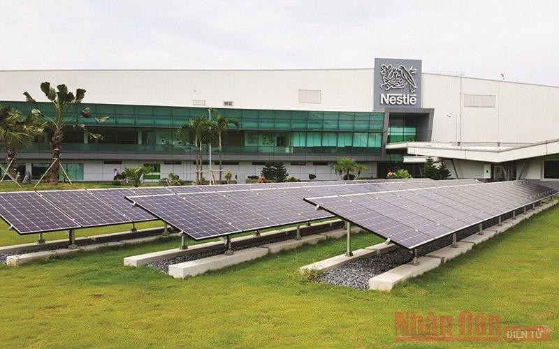 Sử dụng năng lượng mặt trời giúp giảm phát thải ở các nhà máy Nestlé. Vận hội mới cho phát triển đất nước -0