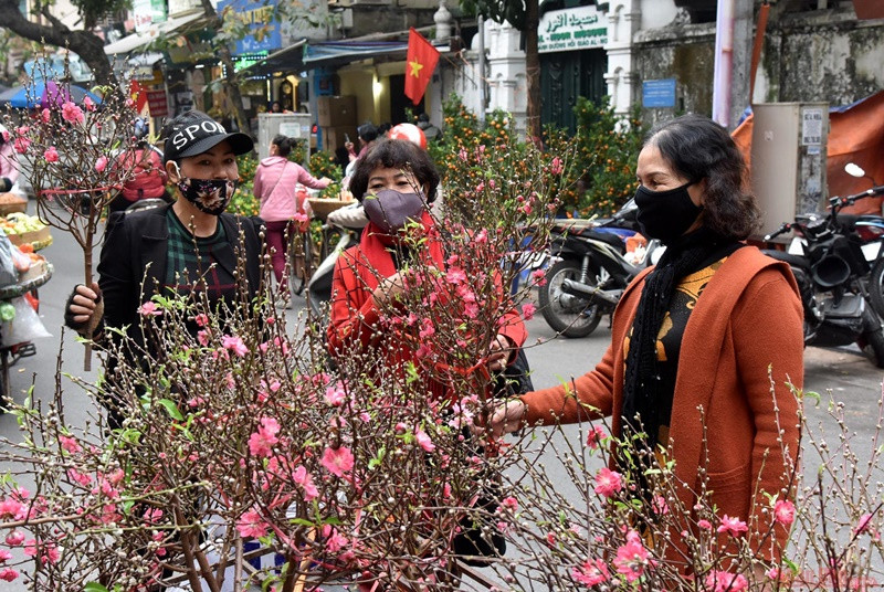 Tại Việt Nam, đào và quất đã xuống phố, mang sắc xuân đến mọi nhà. (Ảnh: Trần Hải - Thanh Lâm) Không khí đón Tết tại một số quốc gia châu Á -0